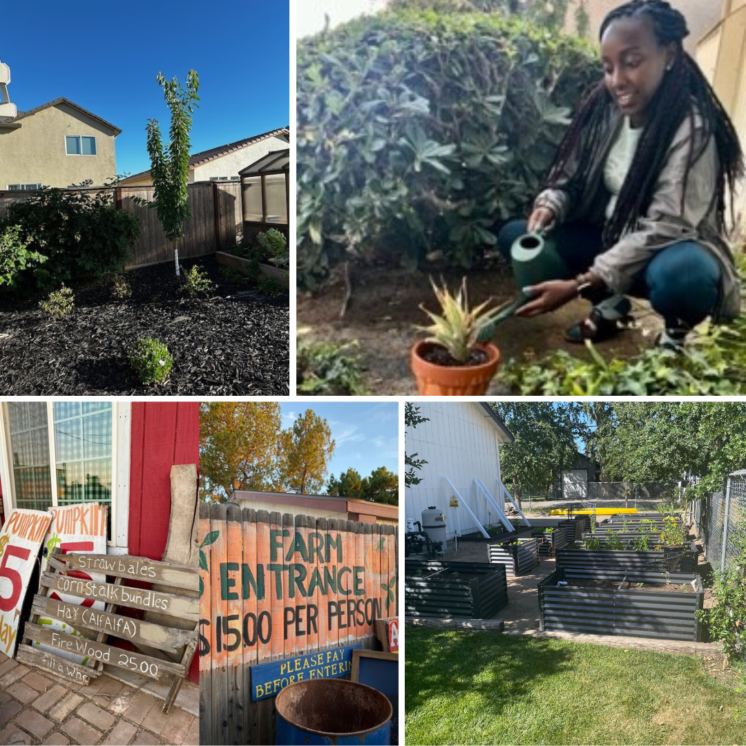 Featured image for “World Environment Day”